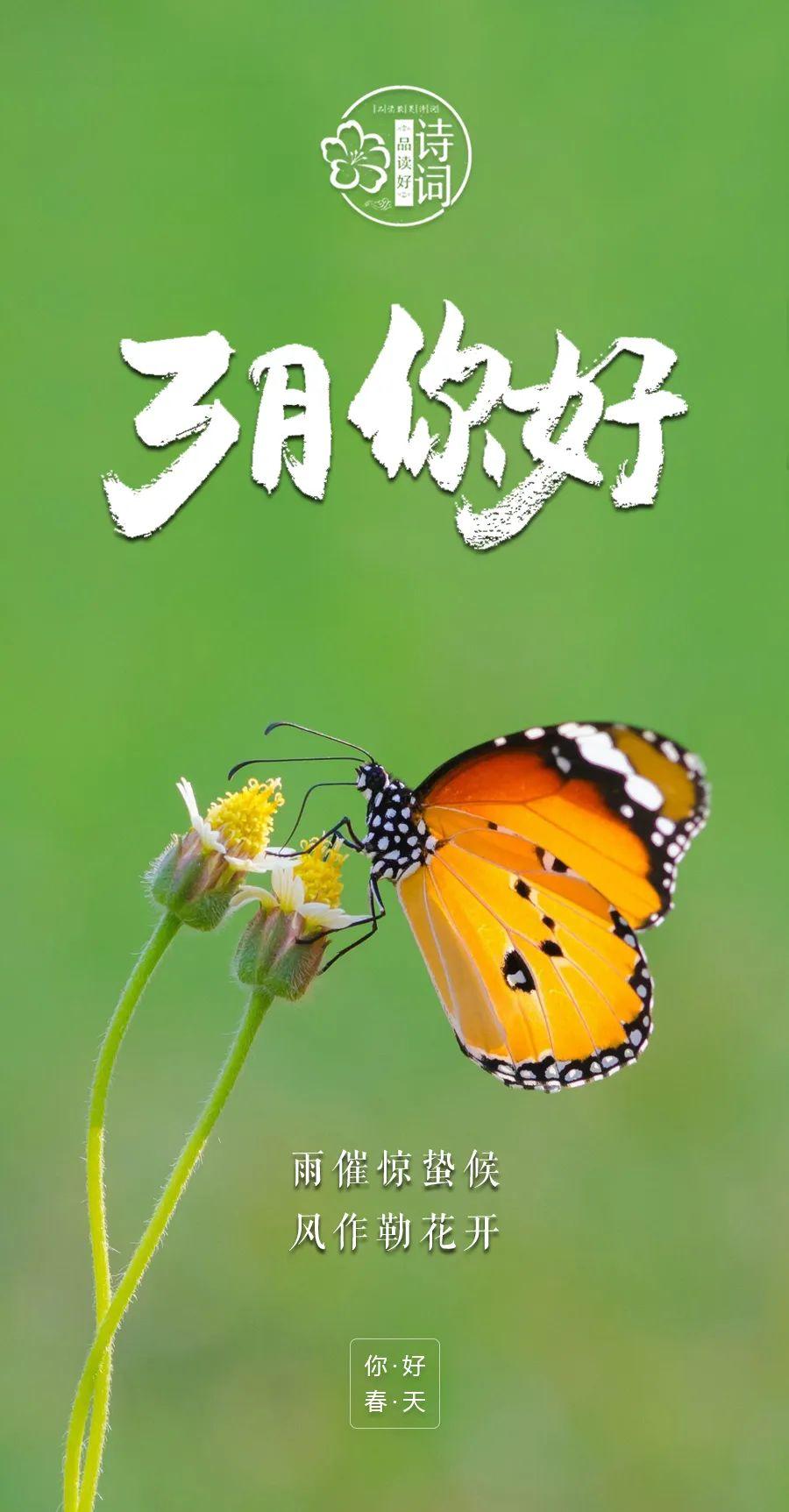 生活的美好，悠然前行，无需催促