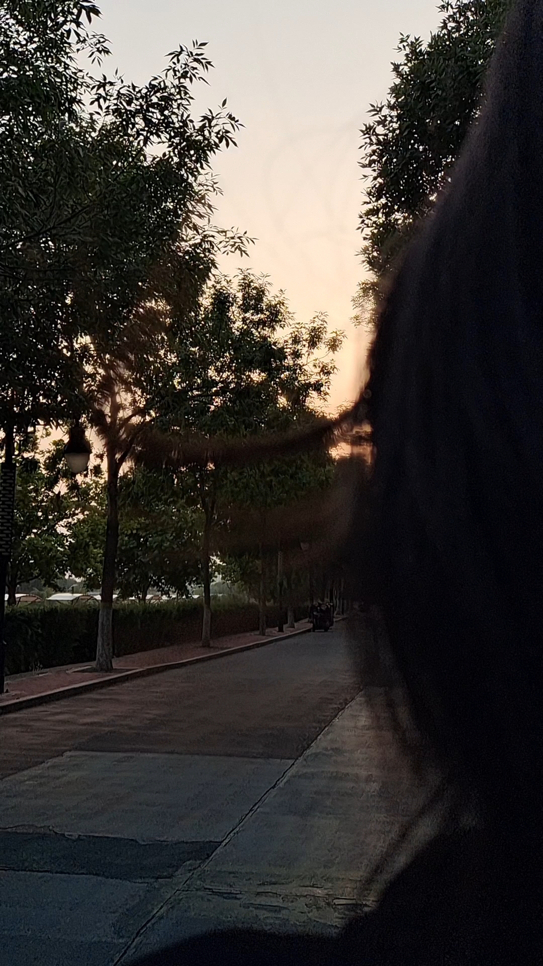 晚风轻抚下的温暖瞬间