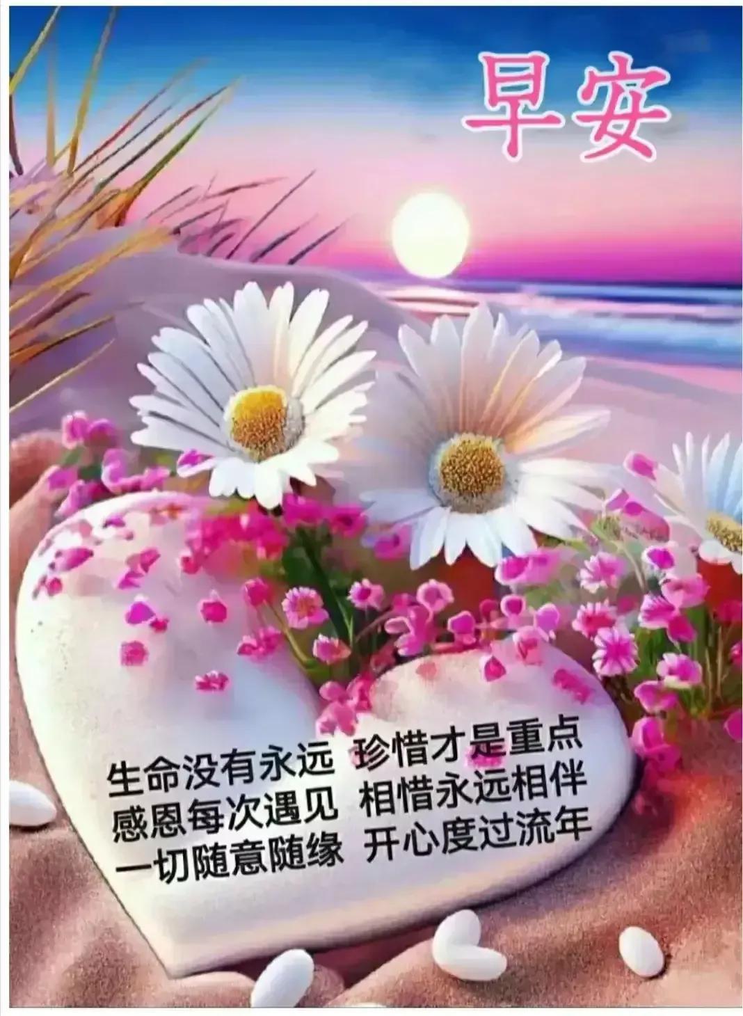 收到早安问候，温暖一整天的心间