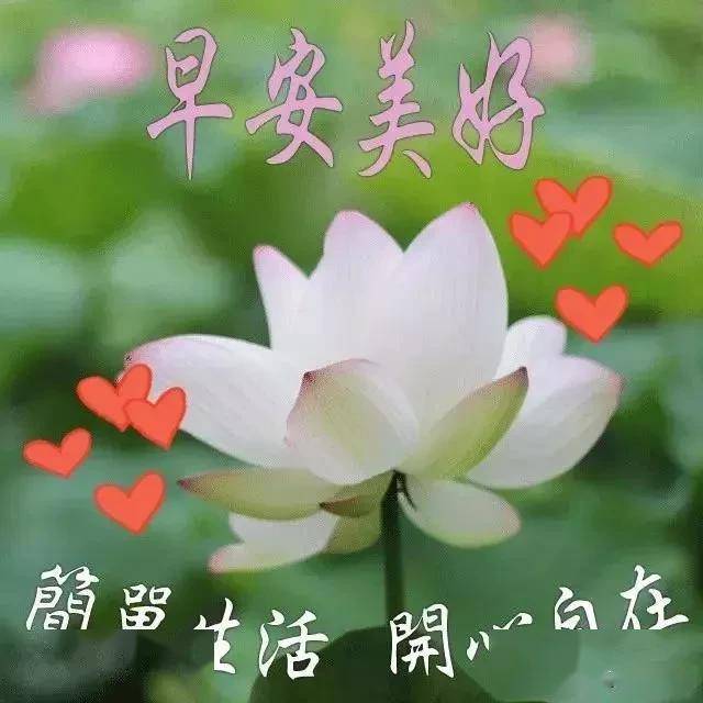 一条温暖问候传递情感力量之魅力