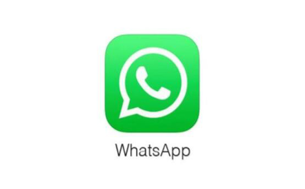 WhatsApp网页版在日常办公中的稳健表现