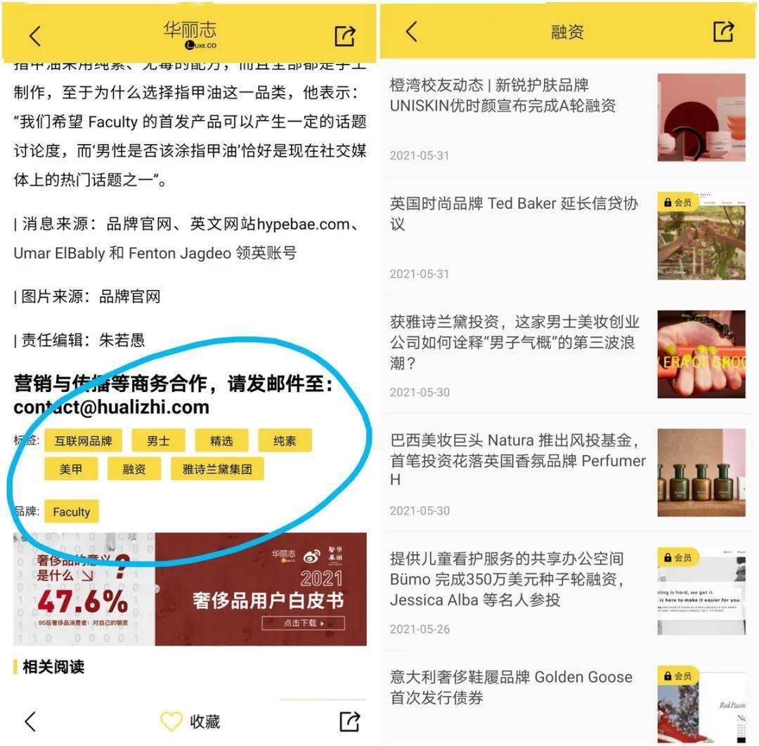 Safew海外用户下载指南，突破地域限制，全球安全服务一键畅享